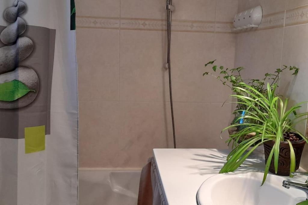 Le Chausse A Bres Chambre D'Hotes 2 Payzac  Extérieur photo