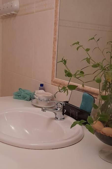 Le Chausse A Bres Chambre D'Hotes 2 Payzac  Extérieur photo